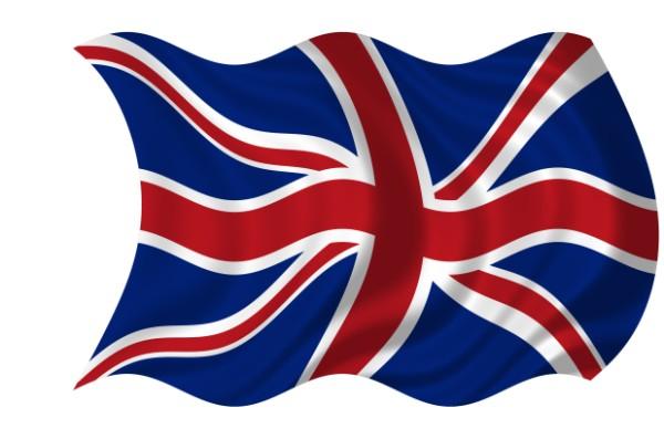 Onze website in het Engels